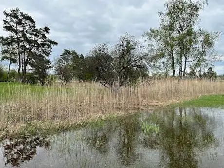 Pfäffikersee Naturschutzgebiet