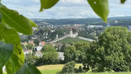 Photo de Aussichtspunkt Flurlingen zum Munot