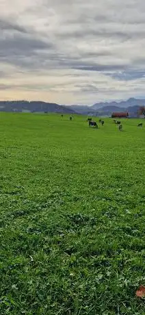 Grenzweg Flawil