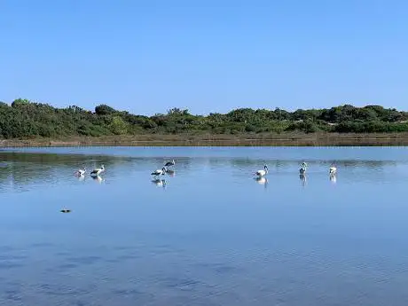 Photo de Parco di San Pietro in Bevagna