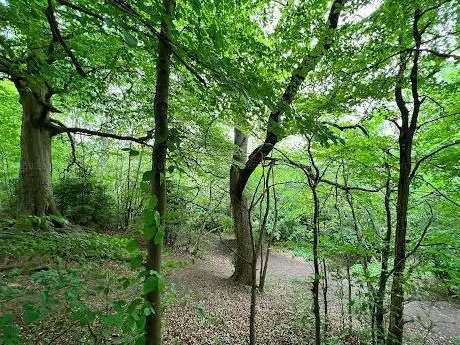 Photo de Queen's Park Iron Age Earthwork