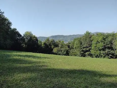 Campo