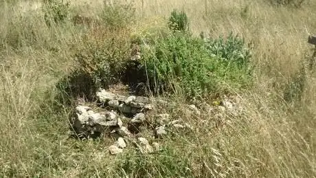 Photo de Maillezais Garden