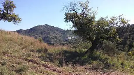 Photo de Arroyo de Casas Viejas