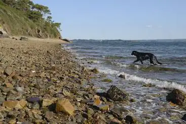 Plage de Lomergat
