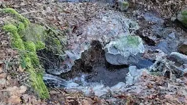 Etang de Moinrupt