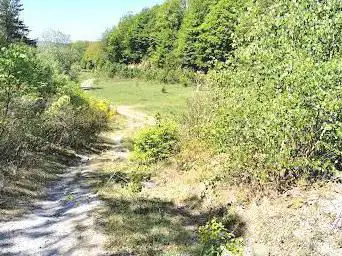 Steinberg Nature Reserve