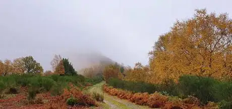 Photo de Campa Da Braña