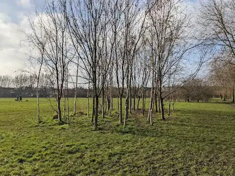 Photo de The Hobson Wood