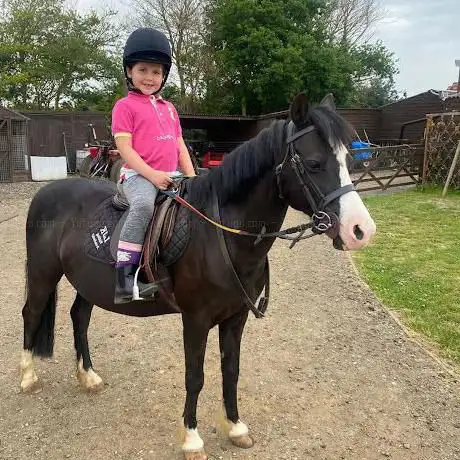 Photo de LJK Riding Academy