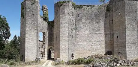 Photo de Château de Montfort