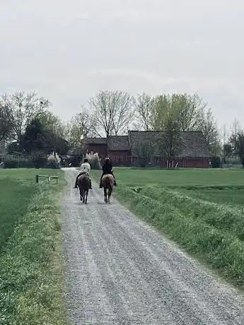 Photo de Il Gelso Horses