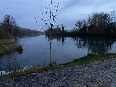 Flussmündung Bünz