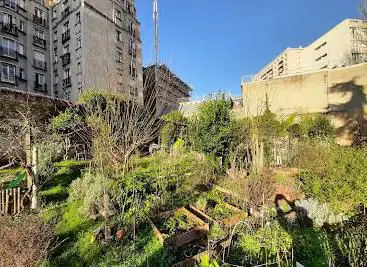 Photo de Yacine-Kateb Garden