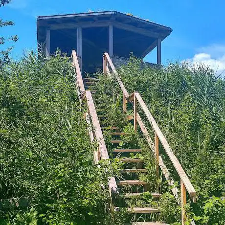 Observatoire ornithologique