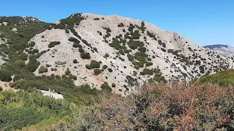Photo de Punto informazione Sentiero degli Abies Nebrodensis