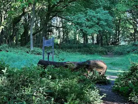 Photo de North Tuddenham Common