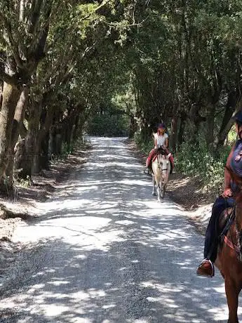 Photo de Colle Pinzuto Horseridingin