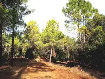 Photo de Terres Rouges
