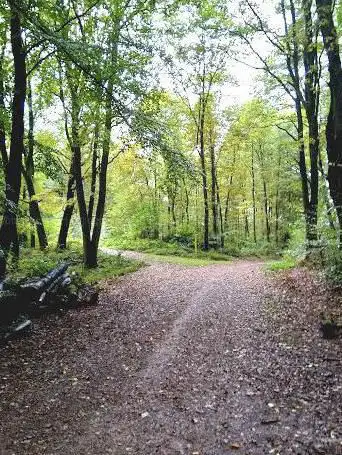 Photo de Wanderhütte