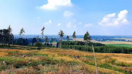 Erbsbusch - Hürtgenwald