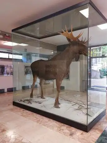 Photo de Museo civico di Scienze Naturali