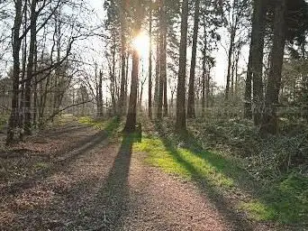 Photo de Bosarboretum Koekelare
