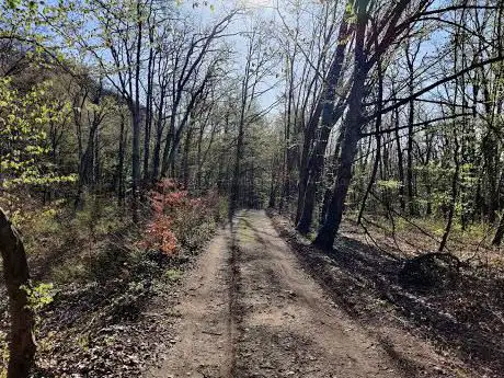 Chemin des Bornes