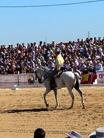 Photo de RECINTO GANADERO HUERTA DE LA CAÑADA  ALMONTE