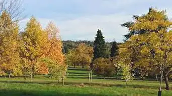 Versailles-Chèvreloup Arboretum