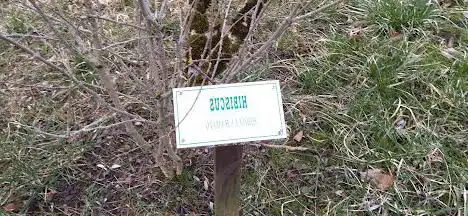 Arboretum