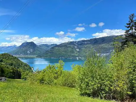 Verein Panorama Rundweg Thunersee