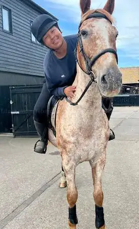 Photo de Crockleford Stud