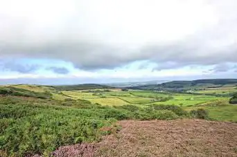 Photo de National Trust - Ventnor Downs