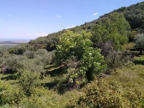Photo de Serra de Alor