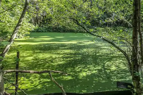 Stiemerbeek Waterschei