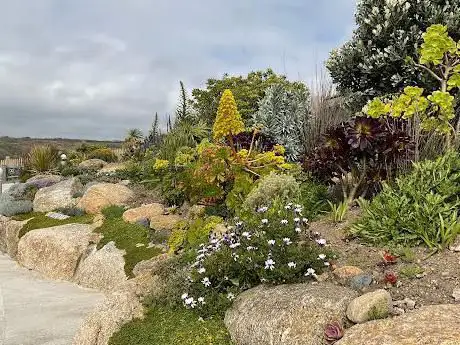 The Minack Gardens