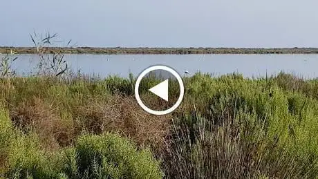 Photo de Charcón de Punta Entinas