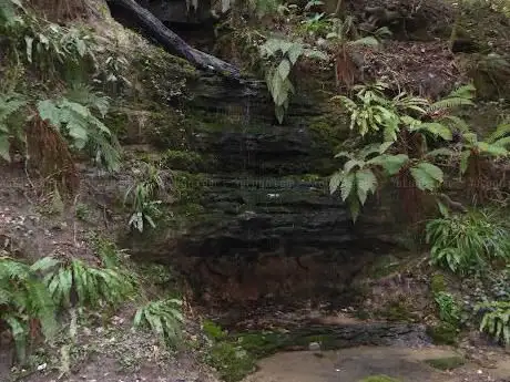 Old Roar Gill and Coronation Wood