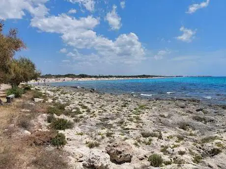 Punta Grossa