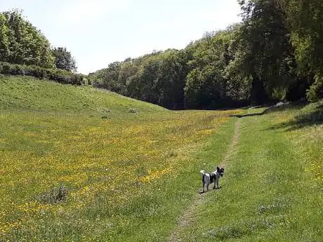 Photo de Ancaster Valley