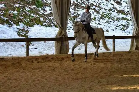 Photo de Riding Villa Glori Roma