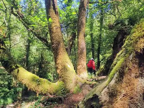 Photo de Ruta do RÃÂo Mendo