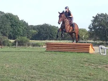 Photo de Cercle Equestre du Jonckeu