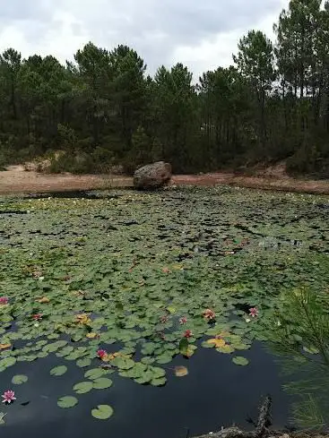 Lac nénuphar