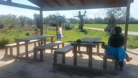 Area picnic