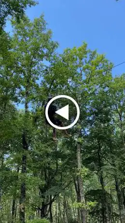 Photo de Parco Avventura Vico Nel Lazio