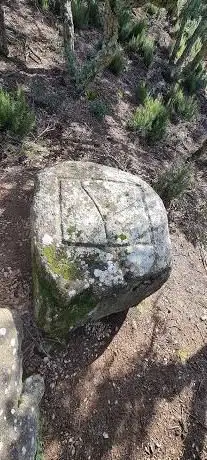 Photo de Pedra dels sacrificis de Can Cabanyes