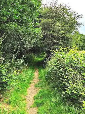 Réserve naturelle des Prés de la Lienne