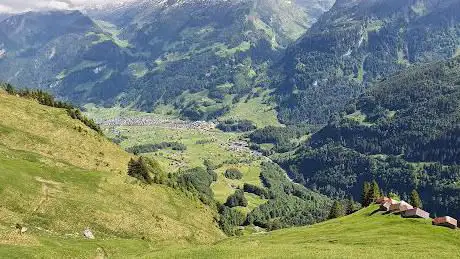 Heuberigsflue